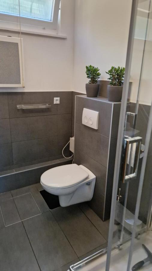 Ferienwohnung Naturini Φράιμπουργκ Εξωτερικό φωτογραφία